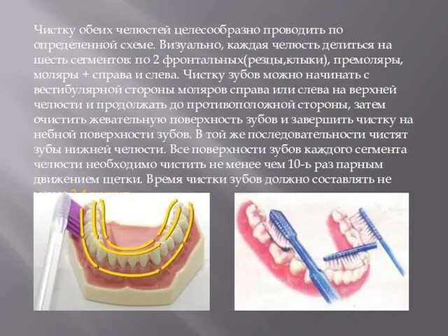 Чистку обеих челюстей целесообразно проводить по определенной схеме. Визуально, каждая