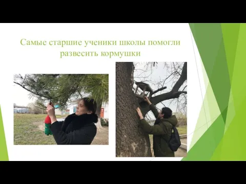 Самые старшие ученики школы помогли развесить кормушки