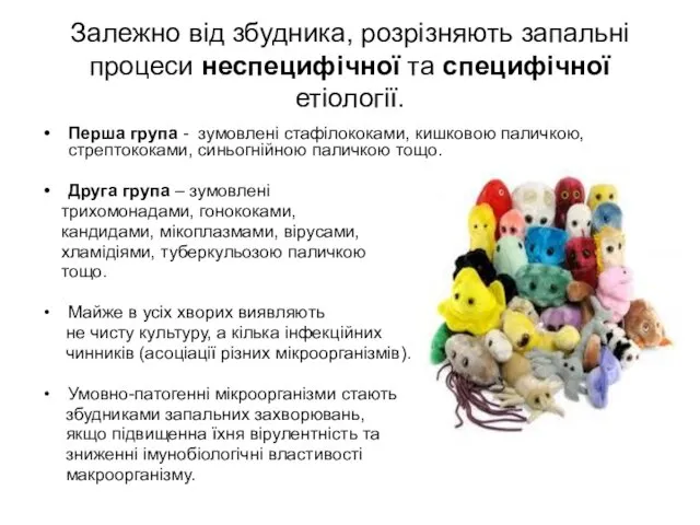 Залежно від збудника, розрізняють запальні процеси неспецифічної та специфічної етіології.