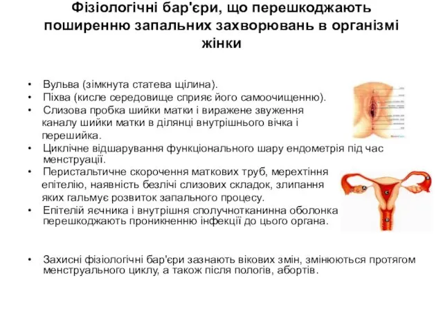 Фізіологічні бар'єри, що перешкоджають поширенню запальних захворювань в організмі жінки