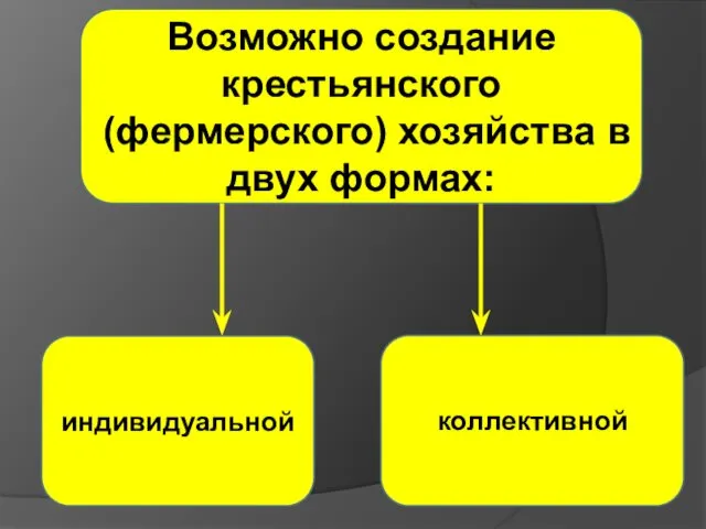 Возможно создание крестьянского (фермерского) хозяйства в двух формах: индивидуальной коллективной