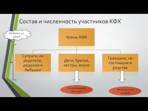 Состав и численность участников КФХ По достижении 16-ти лет Не