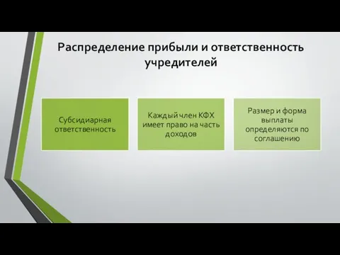 Распределение прибыли и ответственность учредителей