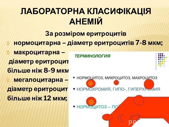 ЛАБОРАТОРНА КЛАСИФІКАЦІЯ АНЕМІЙ За розміром еритроцитів нормоцитарна – діаметр еритроцитів