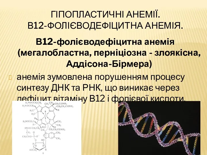 ГІПОПЛАСТИЧНІ АНЕМІЇ. В12-ФОЛІЄВОДЕФІЦИТНА АНЕМІЯ. В12-фолієводефіцитна анемія (мегалобластна, перніціозна - злоякісна,