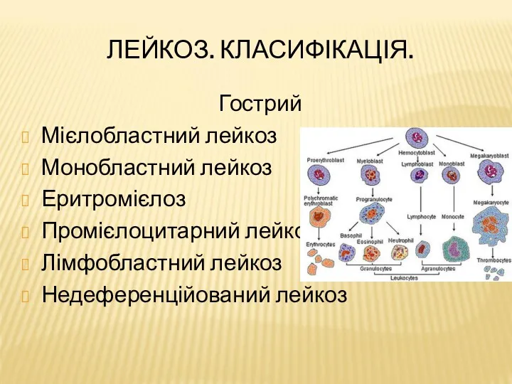 ЛЕЙКОЗ. КЛАСИФІКАЦІЯ. Гострий Мієлобластний лейкоз Монобластний лейкоз Еритромієлоз Промієлоцитарний лейкоз Лімфобластний лейкоз Недеференційований лейкоз