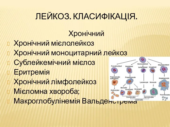 ЛЕЙКОЗ. КЛАСИФІКАЦІЯ. Хронічний Хронічний мієлолейкоз Хронічний моноцитарний лейкоз Сублейкемічний мієлоз