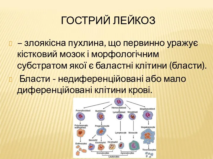 ГОСТРИЙ ЛЕЙКОЗ – злоякісна пухлина, що первинно уражує кістковий мозок