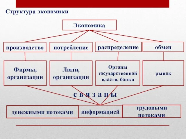 Структура экономики Экономика производство потребление распределение обмен Фирмы, организации Люди,