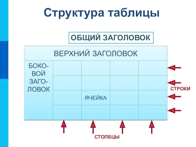 Структура таблицы СТРОКИ СТОЛБЦЫ ОБЩИЙ ЗАГОЛОВОК