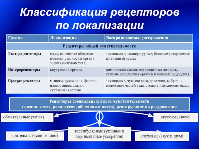 Классификация рецепторов по локализации зрительные (свет и цвет) обонятельные (запах)