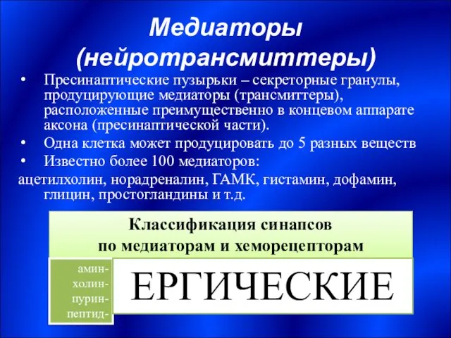 Медиаторы (нейротрансмиттеры) Пресинаптические пузырьки – секреторные гранулы, продуцирующие медиаторы (трансмиттеры),