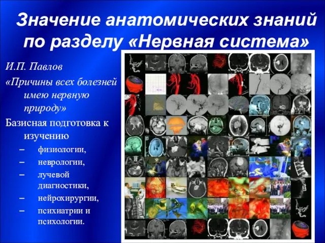 Значение анатомических знаний по разделу «Нервная система» И.П. Павлов «Причины