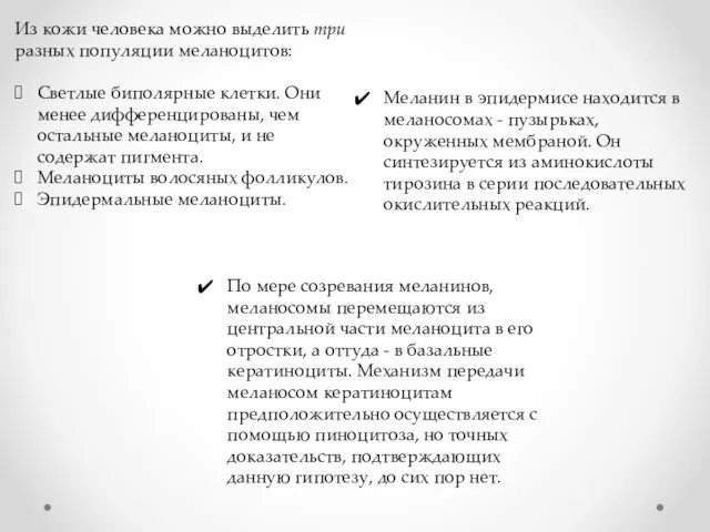 Из кожи человека можно выделить три разных популяции меланоцитов: Светлые