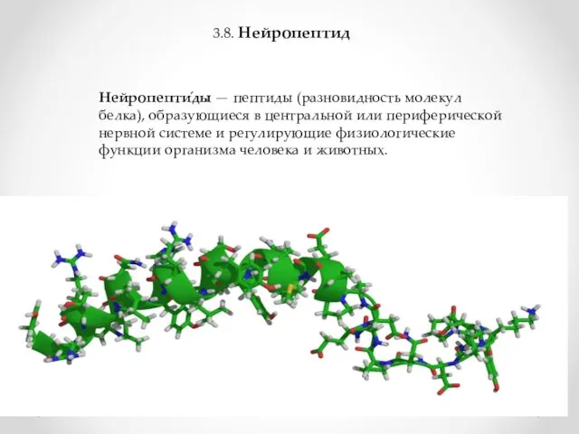 3.8. Нейропептид Нейропепти́ды — пептиды (разновидность молекул белка), образующиеся в