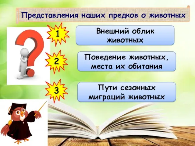 Представления наших предков о животных 1 Внешний облик животных 2 Поведение животных, места