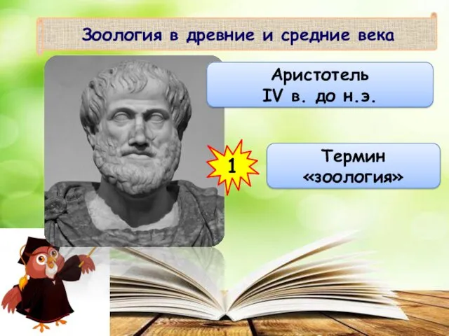 Зоология в древние и средние века Аристотель IV в. до н.э. 1 Термин «зоология»