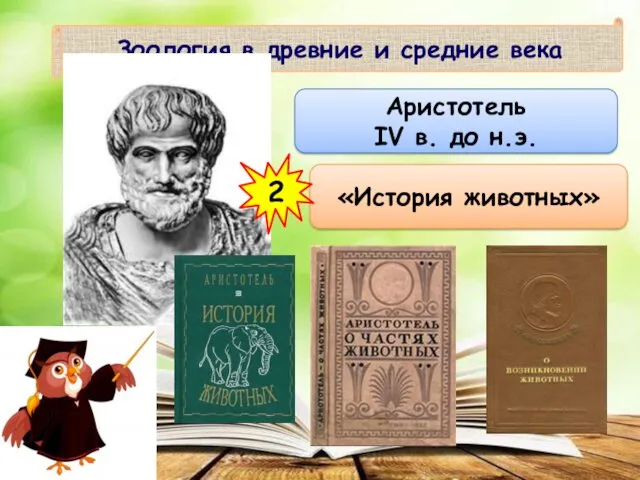Зоология в древние и средние века Аристотель IV в. до н.э. «История животных» 2
