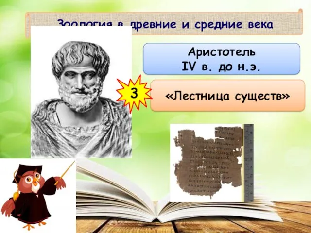 Зоология в древние и средние века Аристотель IV в. до н.э. «Лестница существ» 3