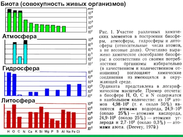 Биота (совокупность живых организмов) Атмосфера Гидросфера Литосфера