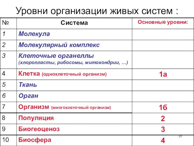 Уровни организации живых систем :