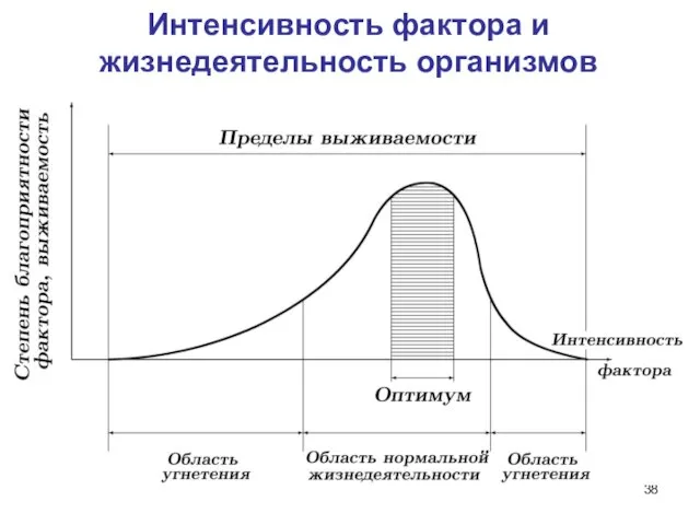 Интенсивность фактора и жизнедеятельность организмов