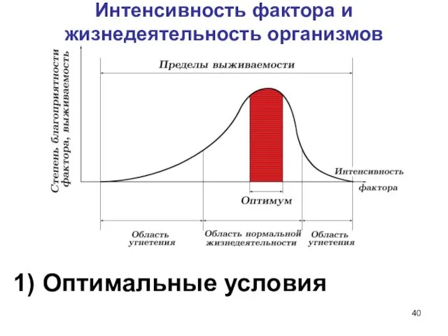 Интенсивность фактора и жизнедеятельность организмов 1) Оптимальные условия