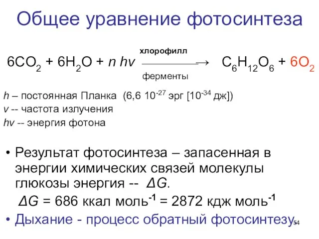 Общее уравнение фотосинтеза хлорофилл 6СO2 + 6H2O + n hν