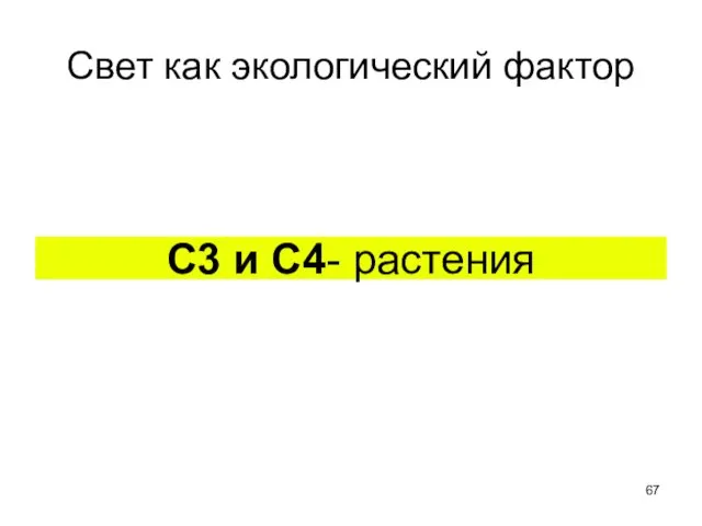 С3 и С4- растения Свет как экологический фактор