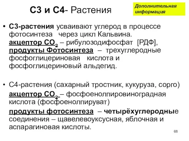 С3 и С4- Растения С3-растения усваивают углерод в процессе фотосинтеза