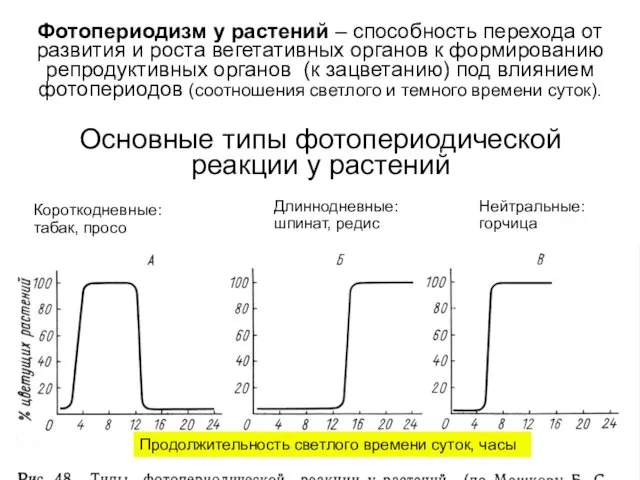 Основные типы фотопериодической реакции у растений Продолжительность светлого времени суток,