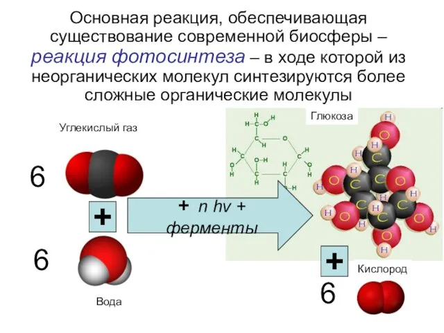 Основная реакция, обеспечивающая существование современной биосферы – реакция фотосинтеза –