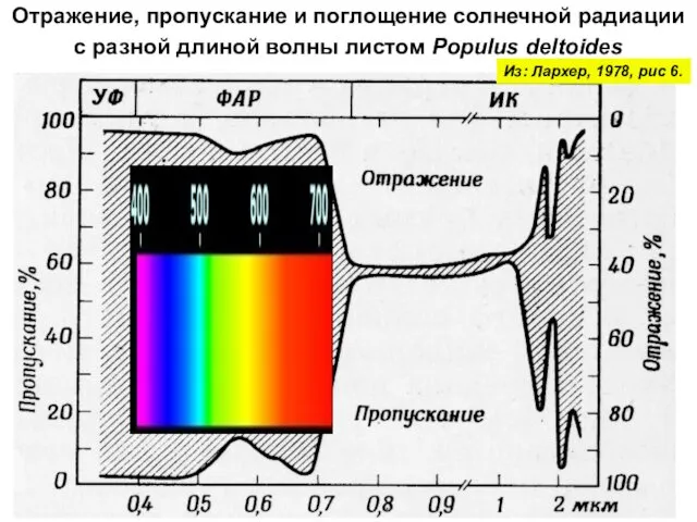 Отражение, пропускание и поглощение солнечной радиации с разной длиной волны