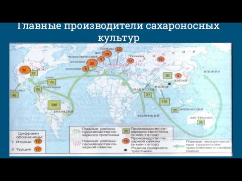 Главные производители сахароносных культур