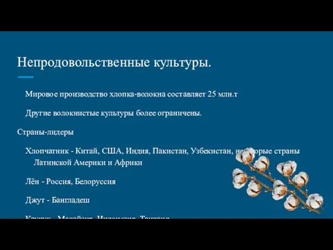 Непродовольственные культуры. Мировое производство хлопка-волокна составляет 25 млн.т Другие волокнистые