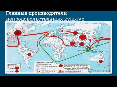 Главные производители непродовольственных культур