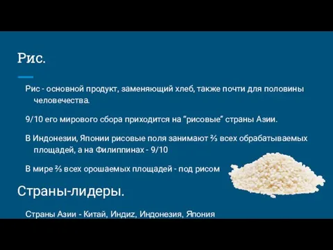 Рис. Рис - основной продукт, заменяющий хлеб, также почти для