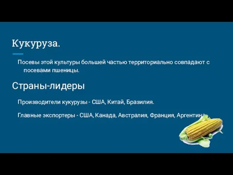 Кукуруза. Посевы этой культуры большей частью территориально совпадают с посевами