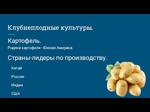 Клубнеплодные культуры. Картофель. Родина картофеля - Южная Америка. Страны-лидеры по