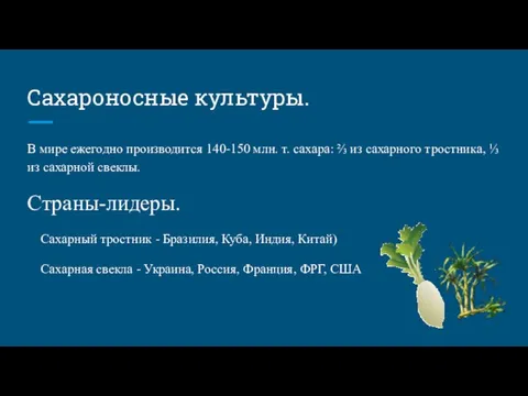 Сахароносные культуры. В мире ежегодно производится 140-150 млн. т. сахара: