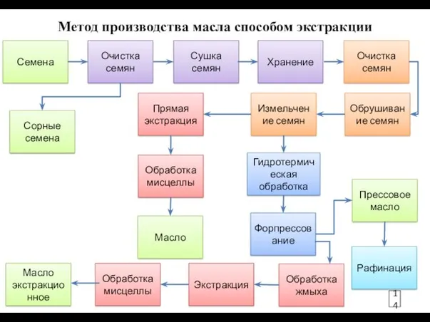 Метод производства масла способом экстракции Семена Очистка семян Сушка семян