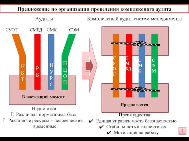 Предложение по организации проведения комплексного аудита Недостатки: Различная нормативная база