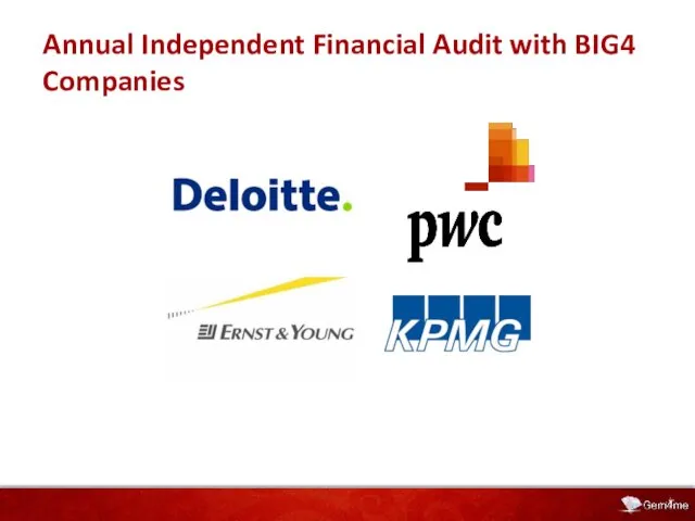 Annual Independent Financial Audit with BIG4 Companies