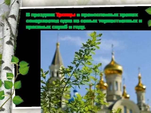 В праздник Троицы в православных храмах совершается одна из самых торжественных и красивых служб в году.