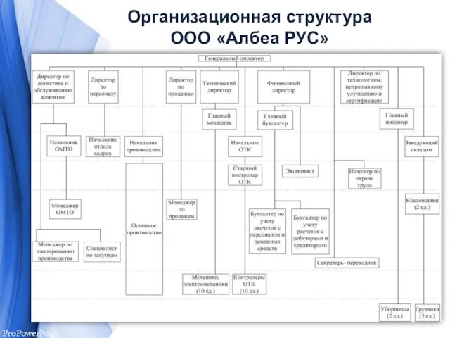 Организационная структура ООО «Албеа РУС»