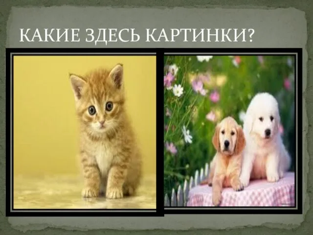 КАКИЕ ЗДЕСЬ КАРТИНКИ?