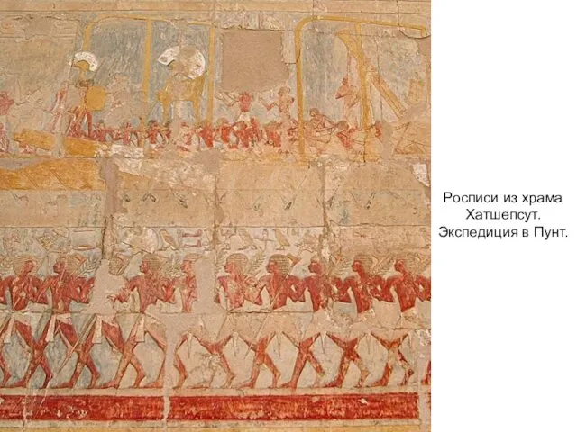 Росписи из храма Хатшепсут. Экспедиция в Пунт.