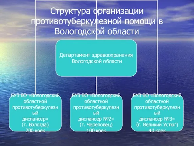 Структура организации противотуберкулезной помощи в Вологодской области