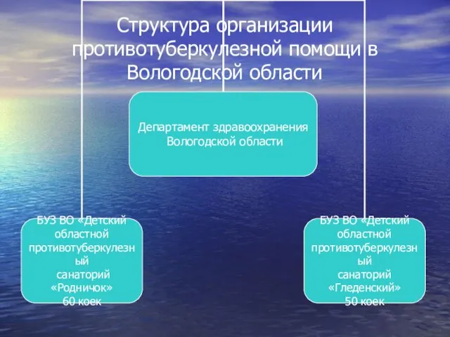 Структура организации противотуберкулезной помощи в Вологодской области