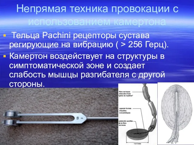 Непрямая техника провокации с использованием камертона Тельца Pachini рецепторы сустава